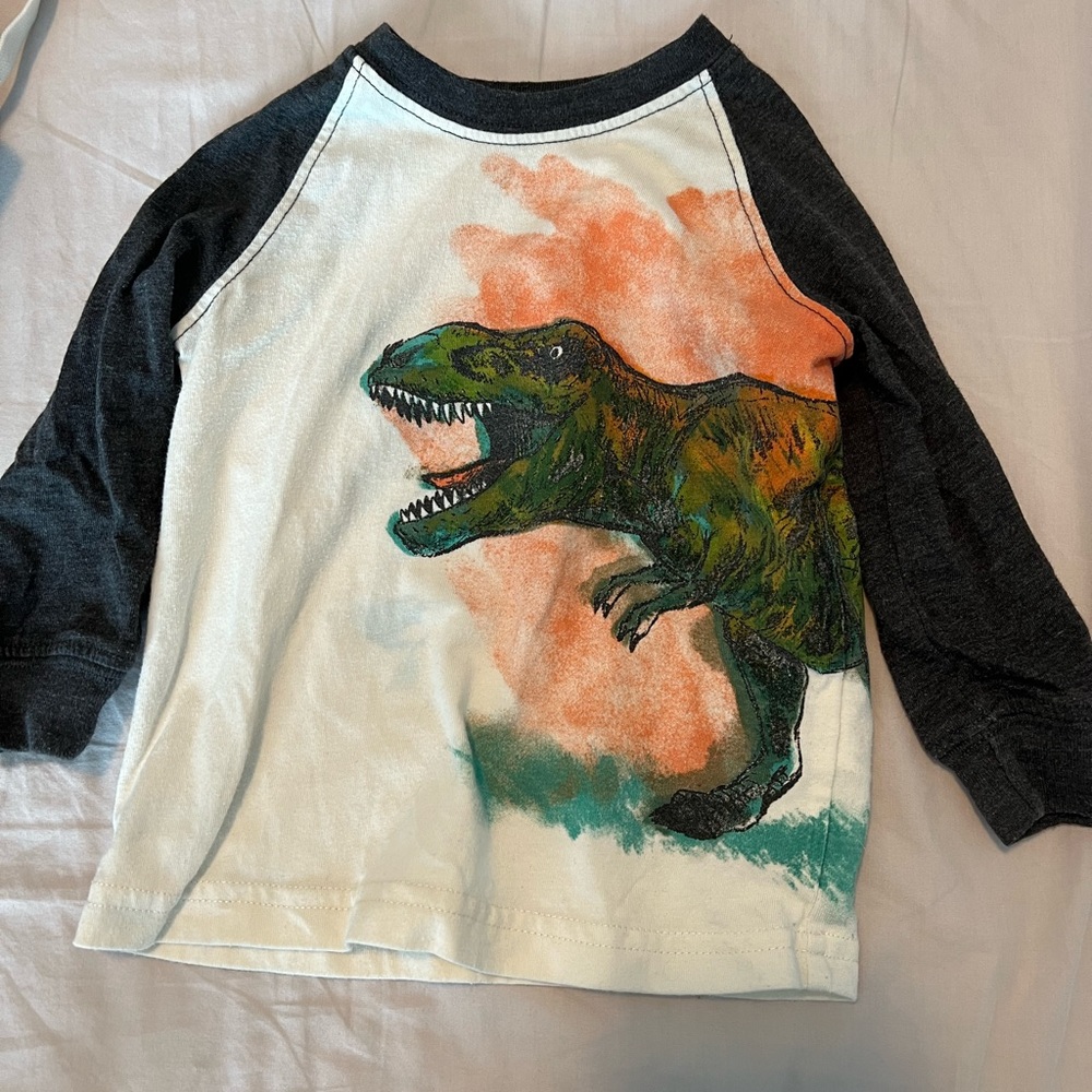 Dinosaur long sleeve shirt size 12 months
